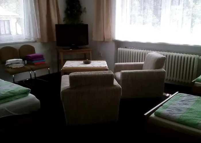 Vysocina Apartman Svratka